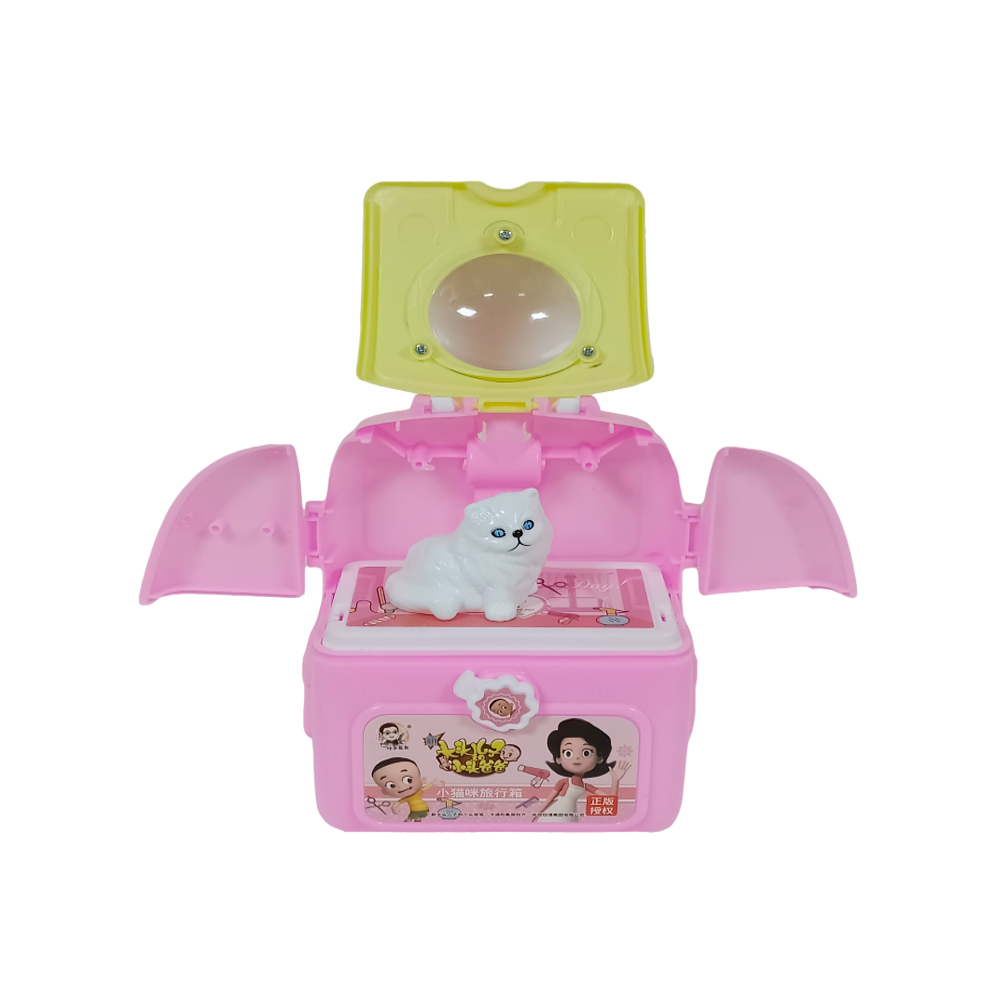 cat travel box
